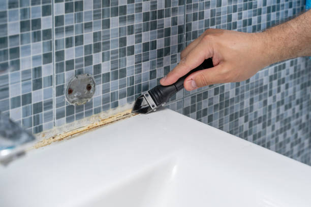 Best Mold Removal Company Near Me  in Putnam Lake, NY